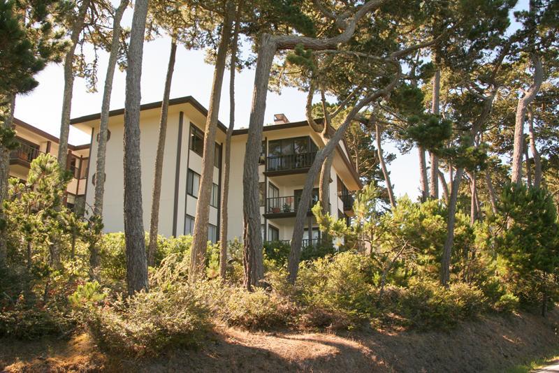 Ocean Pines