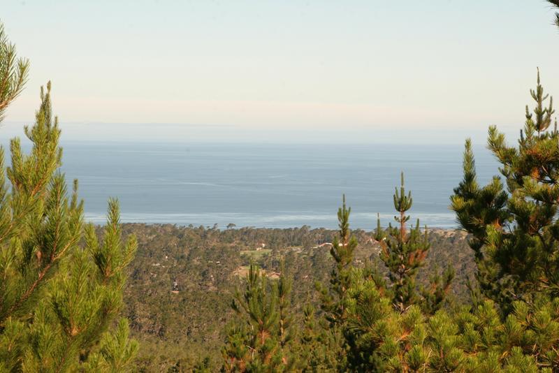 Ocean Pines