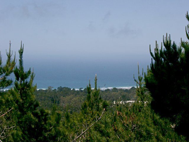 skyline crest condos