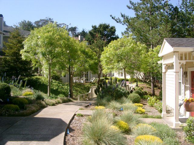 glen heights