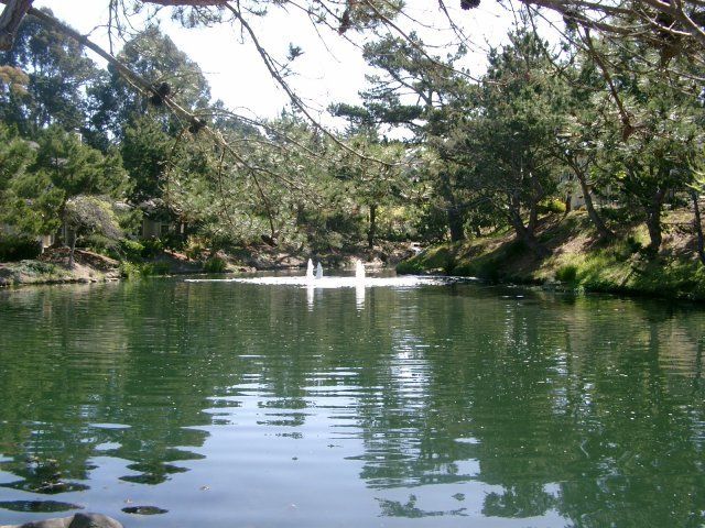 glen heights