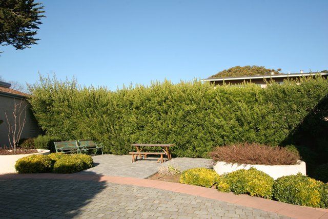 villa rose of monterey