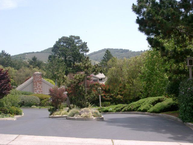 White Oaks