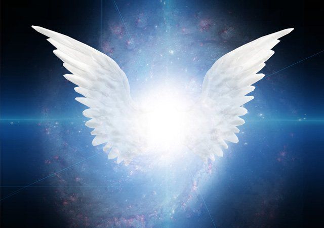 angel reading