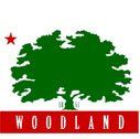 Woodland