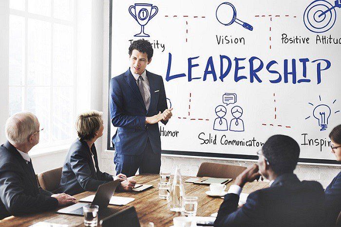 Professional Leadership Training and Development Program