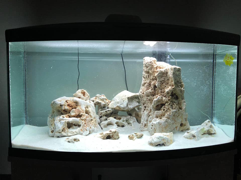 acquario in vendita