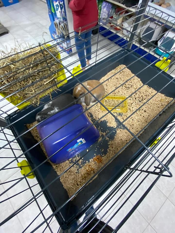 gabbia e accessori per piccoli roditori