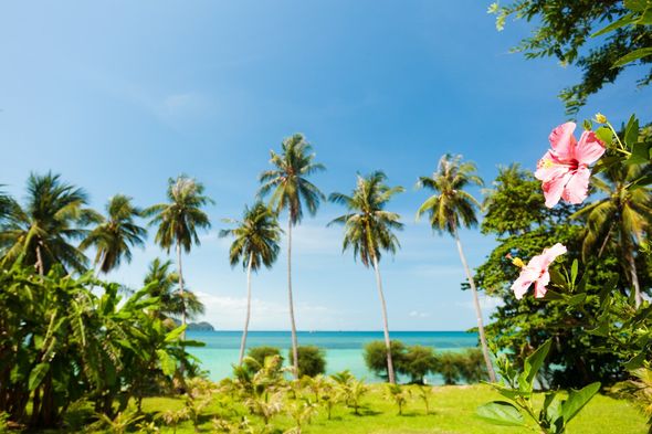 Hawaii Home