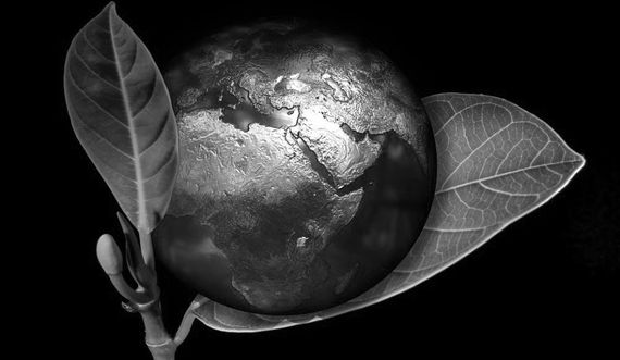 Ecologia