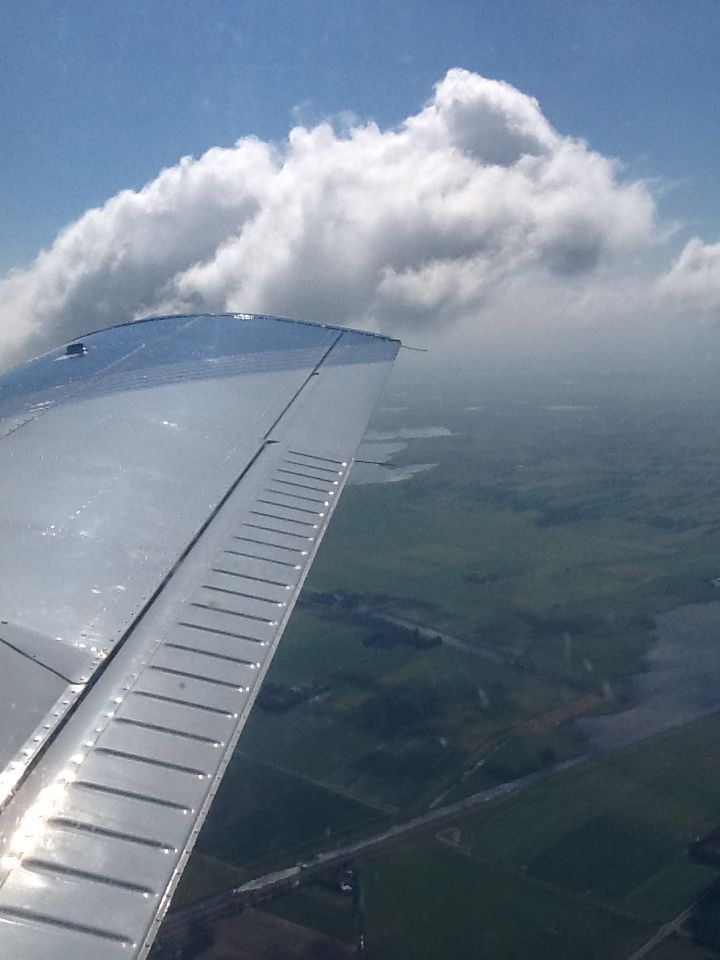 Up in the sky