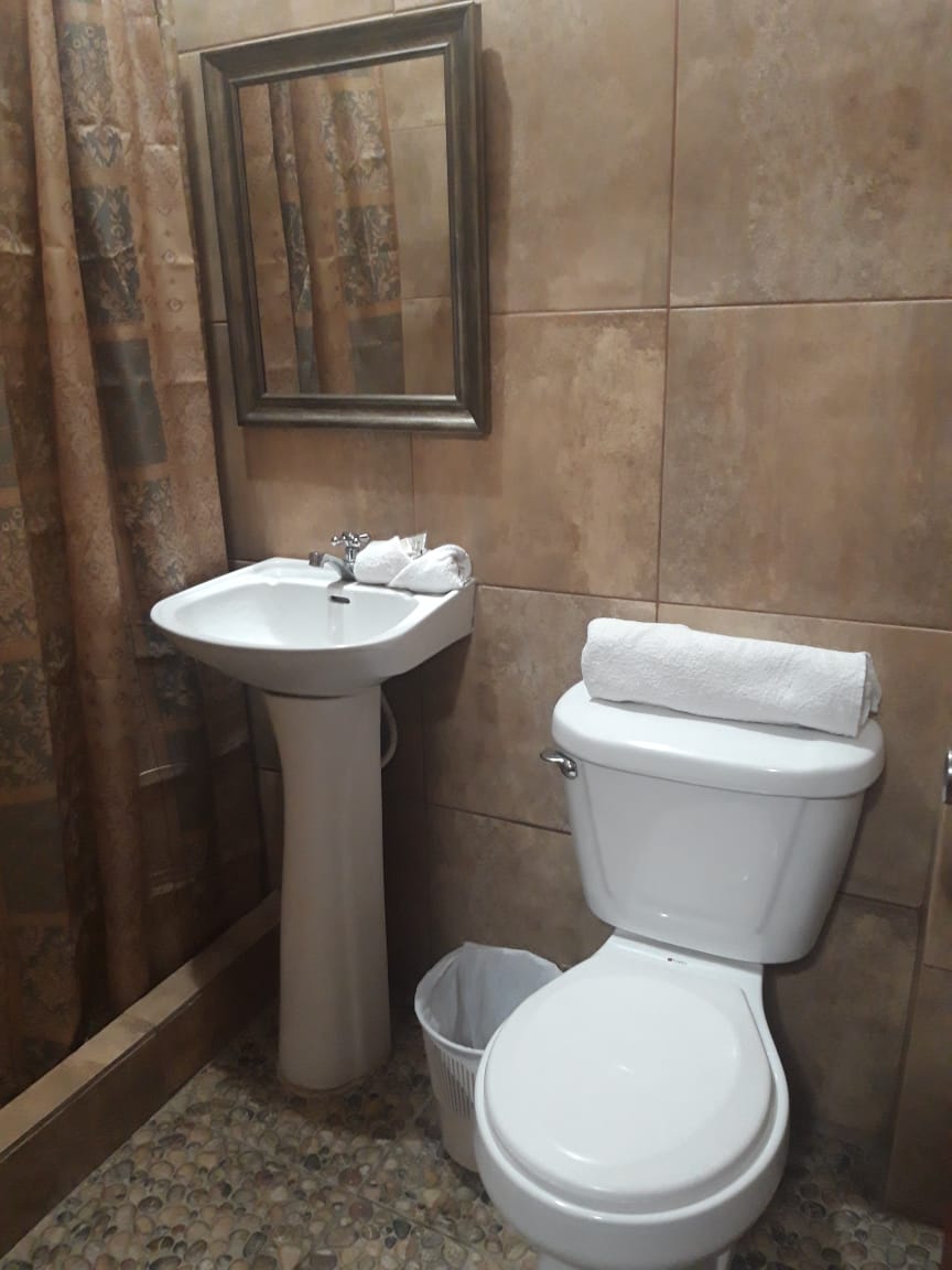 Baño con inodoro blanco y lavabo con pedestal, paredes alicatadas en color beige, espejo, cortina de ducha y papelera.