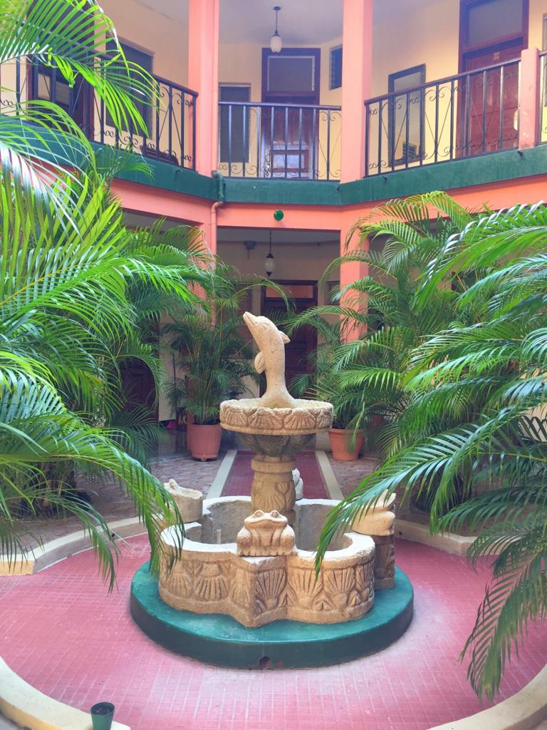 Fuente en el patio con una estatua de un pájaro blanco, rodeada de exuberantes plantas verdes y un sendero rosa 