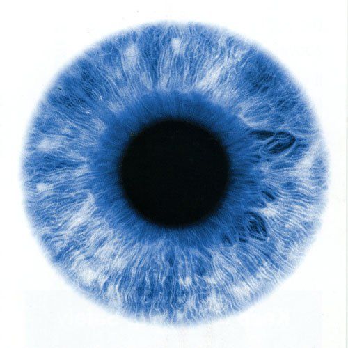 eyeball icon