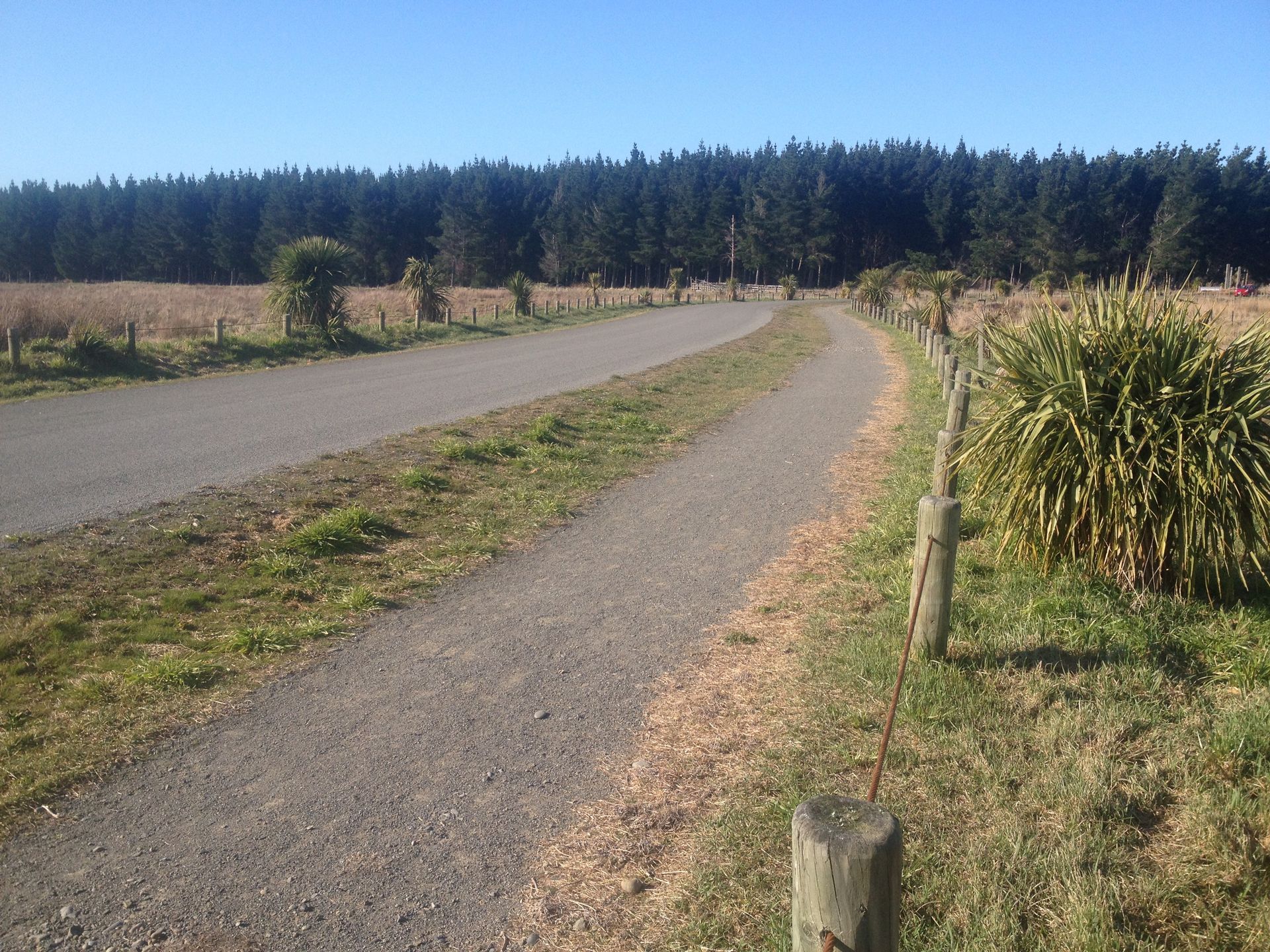 Pegasus Beach Access