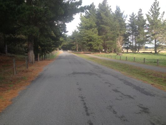 Pegasus Beach Access Road