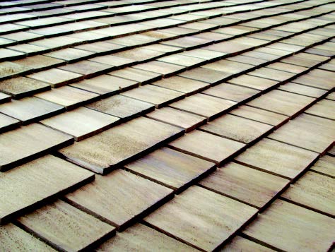 cedar