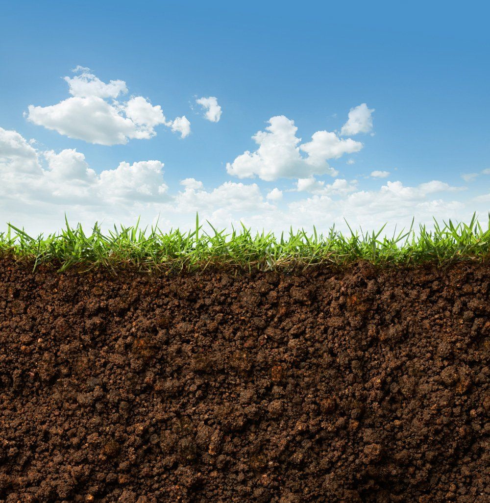 Grass and Soil — Birmingham, AL — TDI Services Birmingham