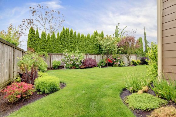 Pest Free Lawn — Birmingham, AL — TDI Services Birmingham