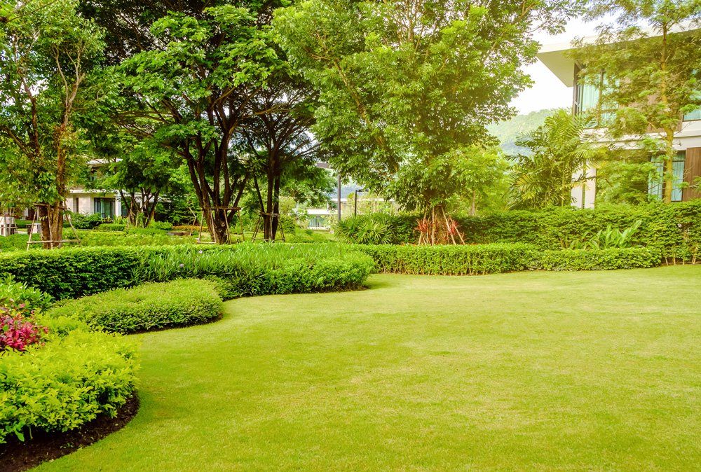 Lawn with Trees — Birmingham, AL — TDI Services Birmingham Lawn with Trees — Birmingham, AL — TDI Services Birmingham