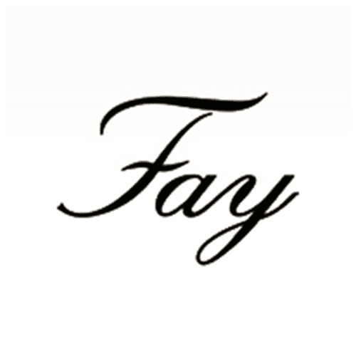 logo Fay