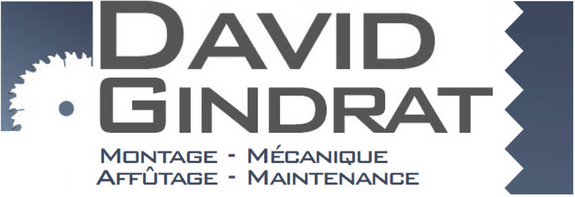 logo david gindrat