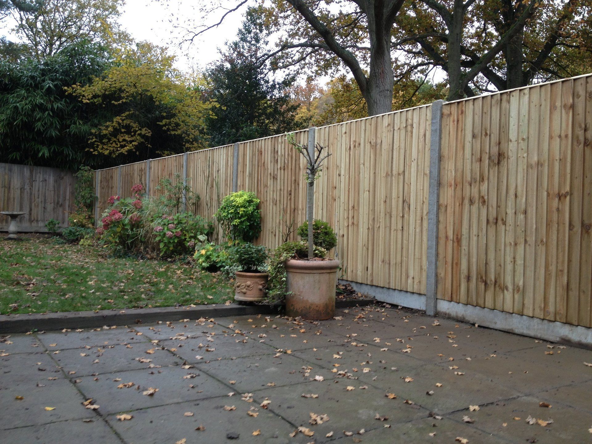 Closeboard fencing