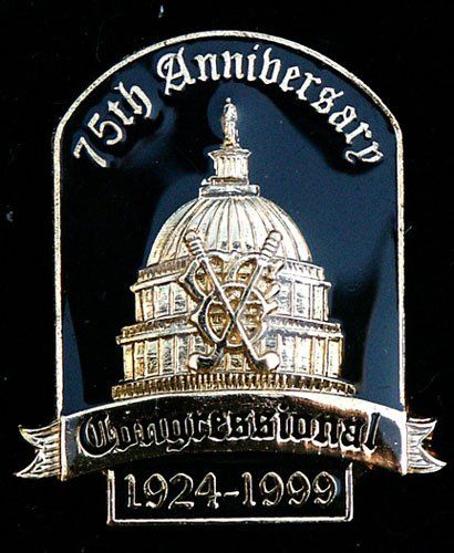 A 15th anniversary badge with a dome on it