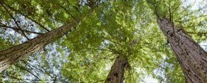 image-73207-callout1.jpg?1410801792115 image-73207-callout1.jpg?1410801792115