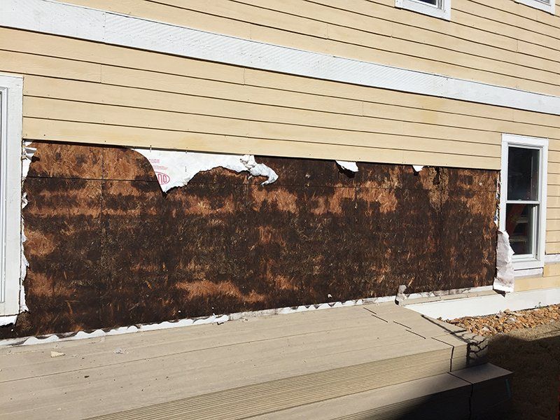 exterior wall rot