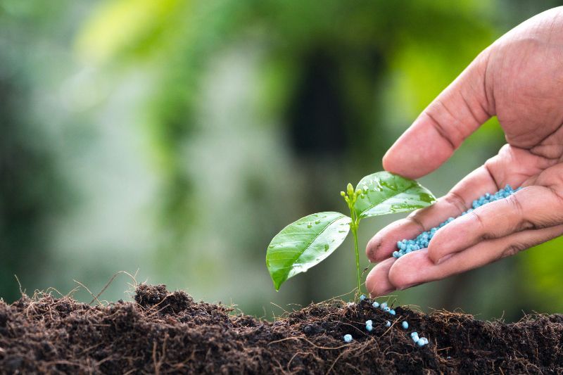 Prodotti per la cura delle piante da orto giardino e casa