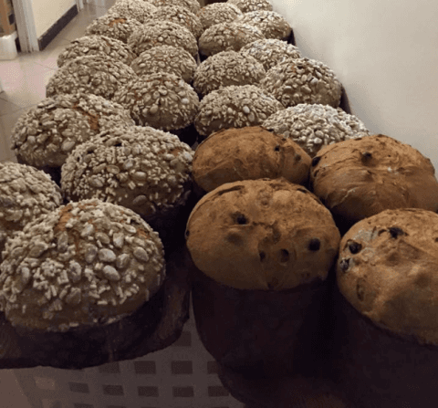 panettone artigianale panettone artigianale