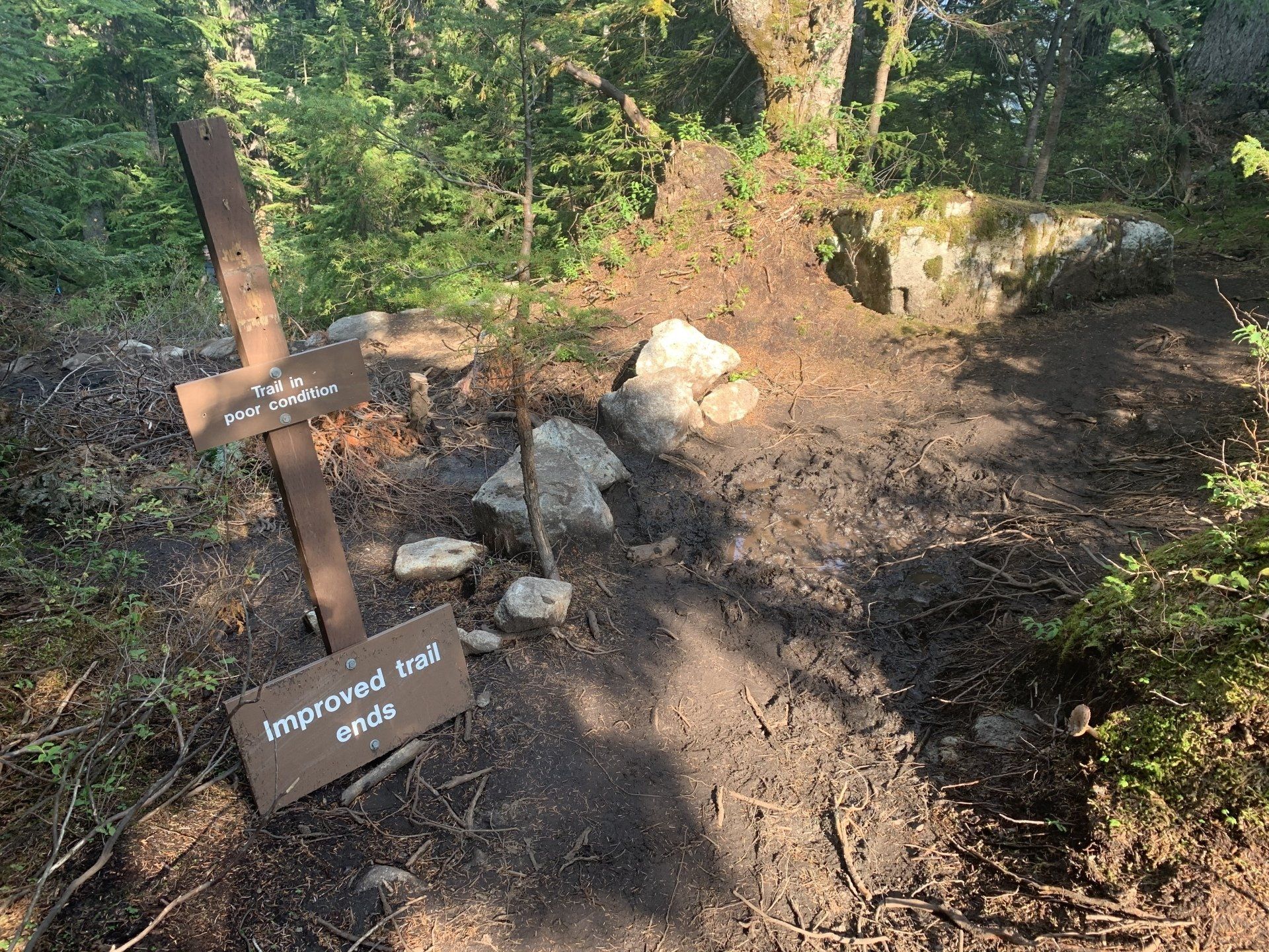 Saint Marks trail
