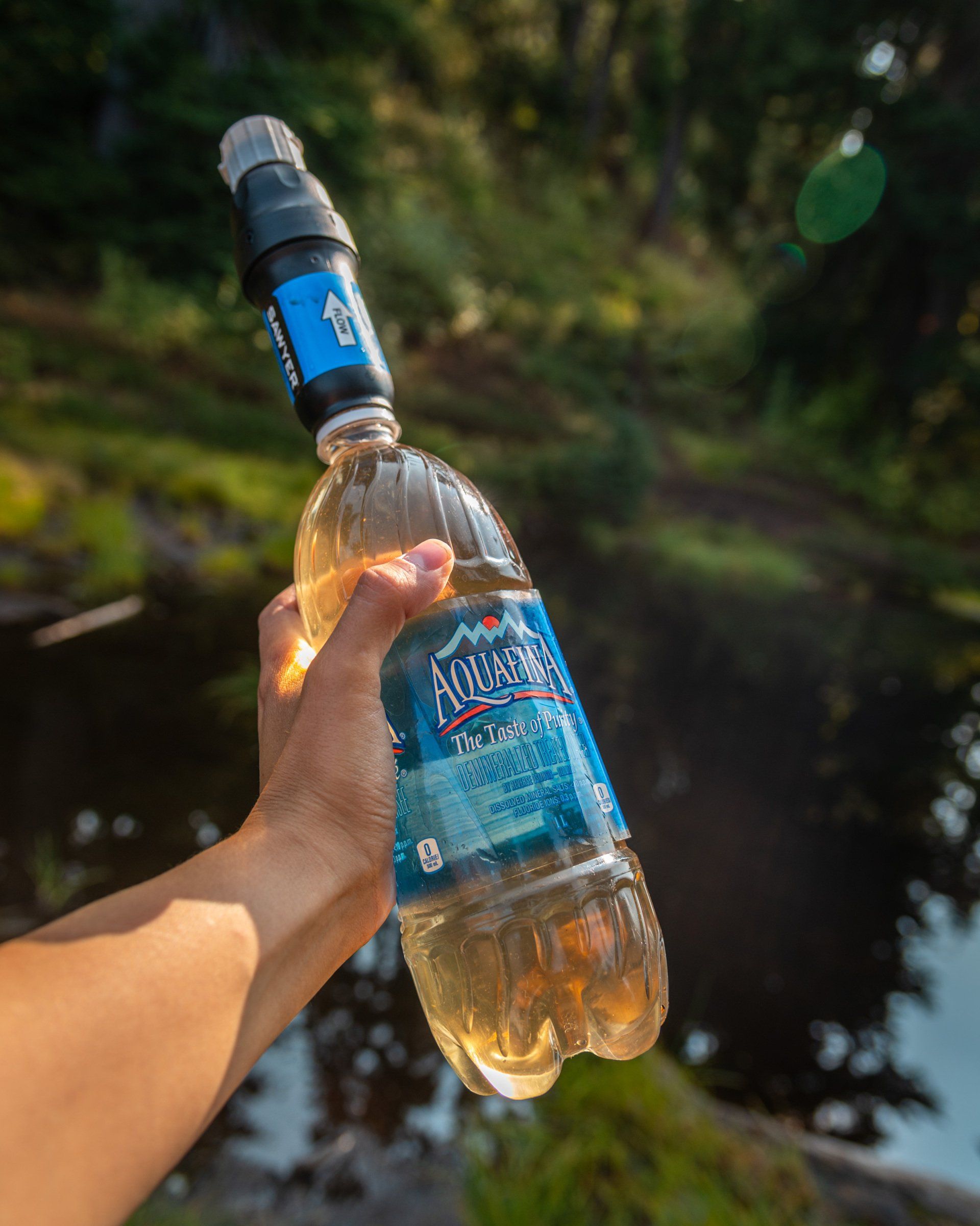 water sources on Saint Marks summit