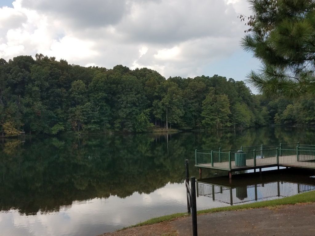 Calm lake with tree-lined shore and a small dock under cloudy skies