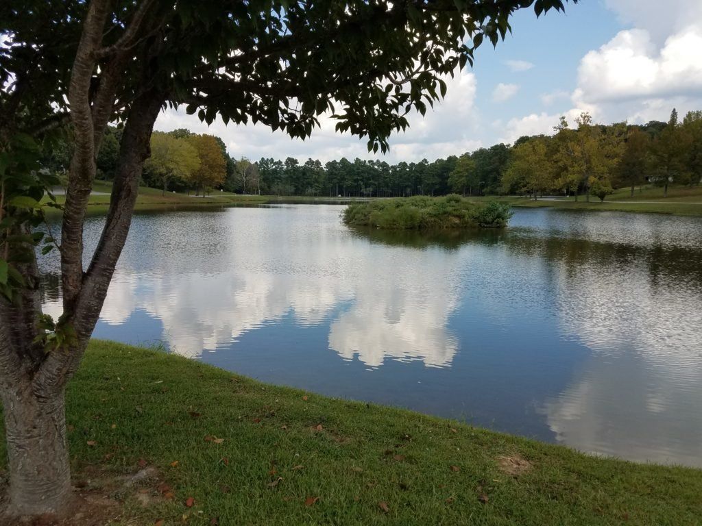 Calm lake reflecting clouds, with grassy shore and trees under a partly cloudy sky