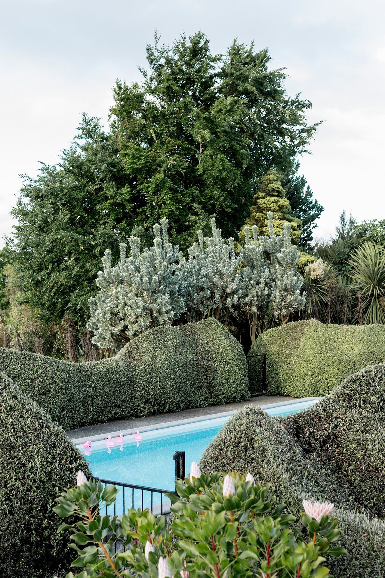 Welton House Gardens in Marlborough New Zealand