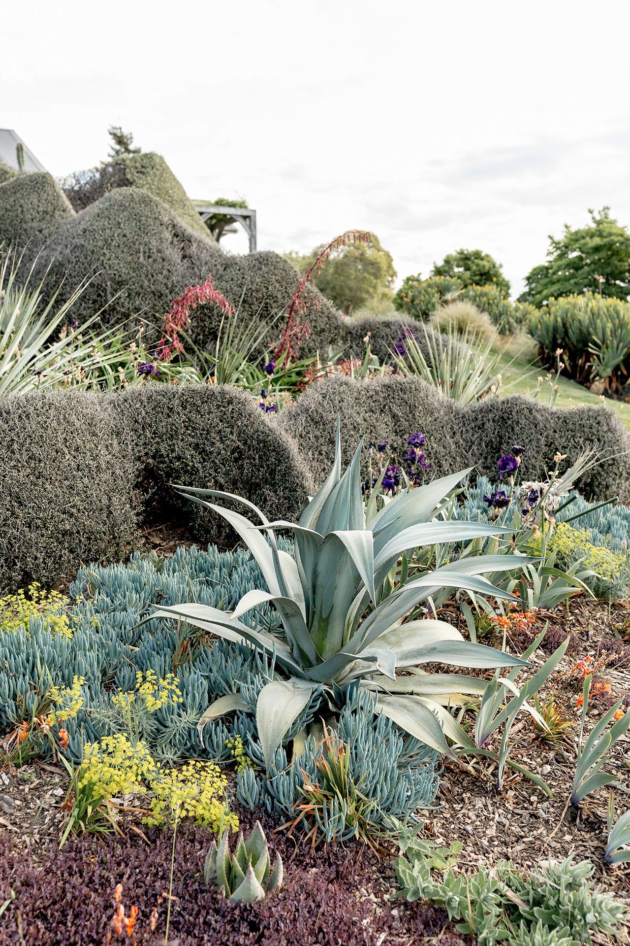 Welton House Gardens in Marlborough New Zealand