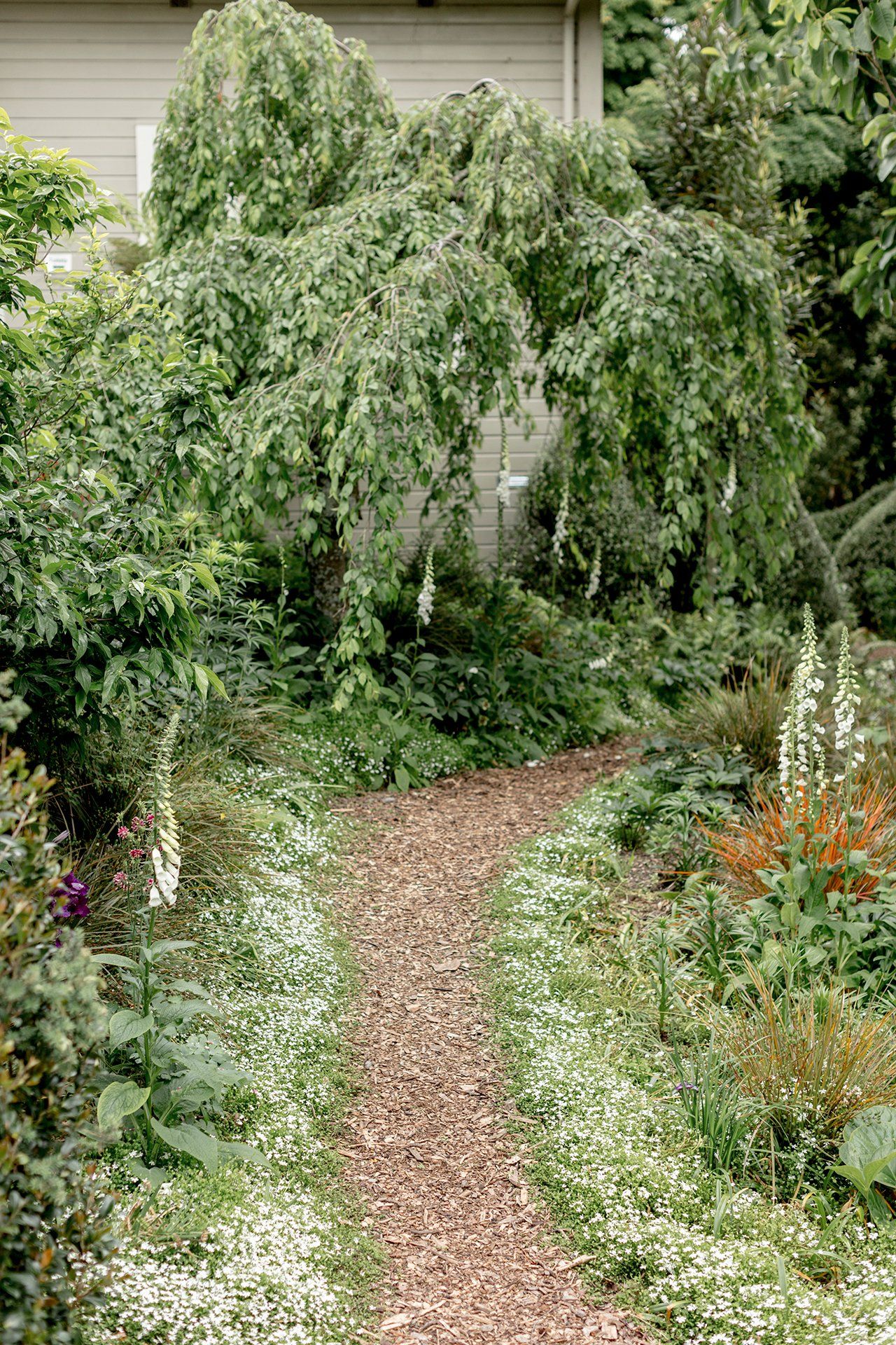 Welton House Gardens in Marlborough New Zealand