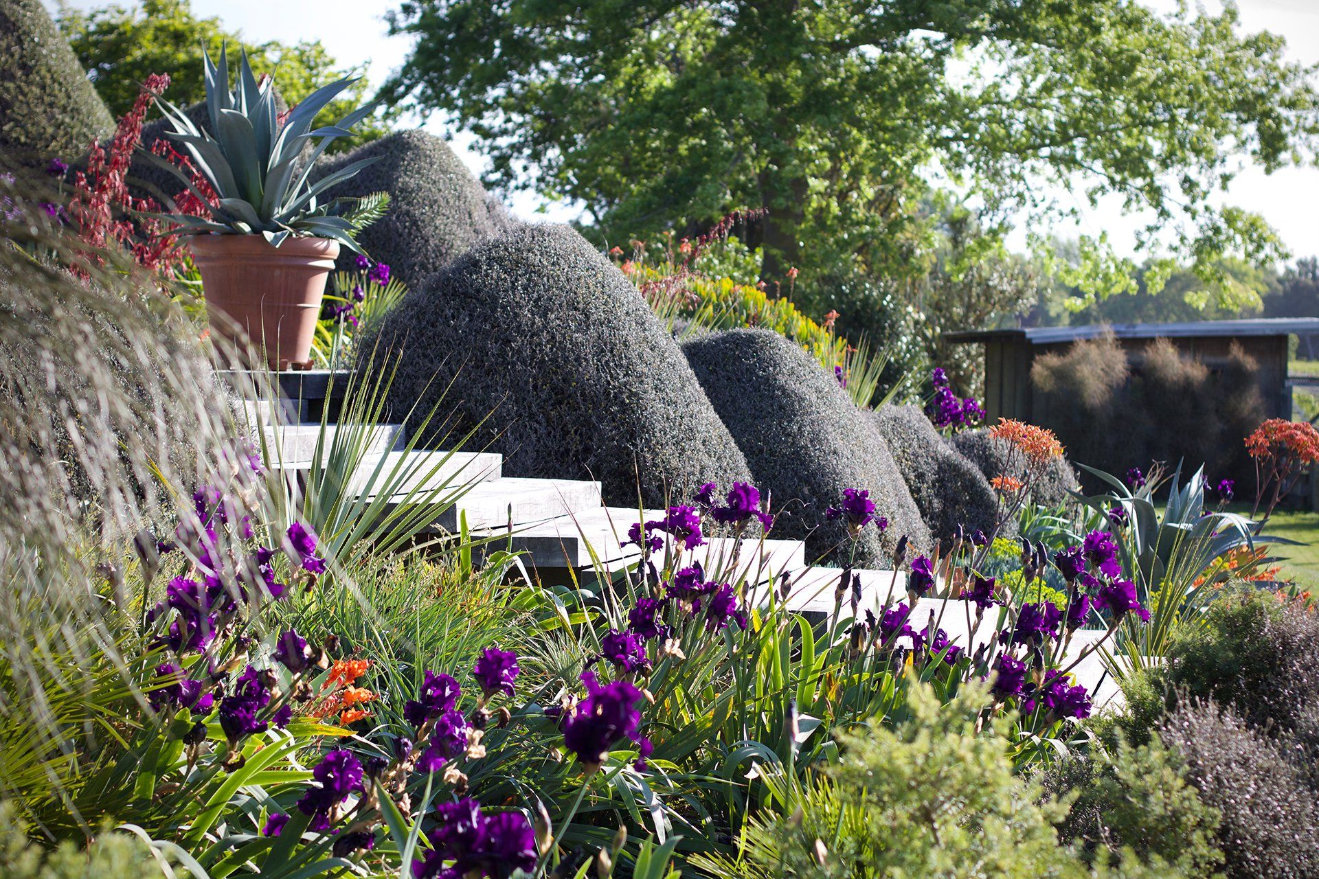 Welton House Gardens in Marlborough New Zealand