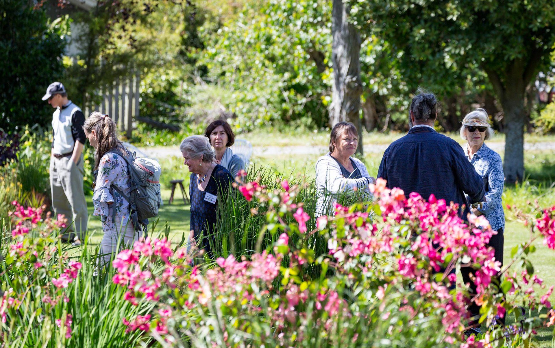 Welton House Gardens in Marlborough New Zealand