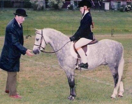 Colwyn Gruffudd