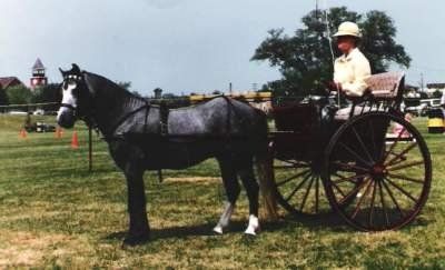 Colwyn Gruffudd