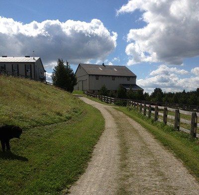 beaverwood farm