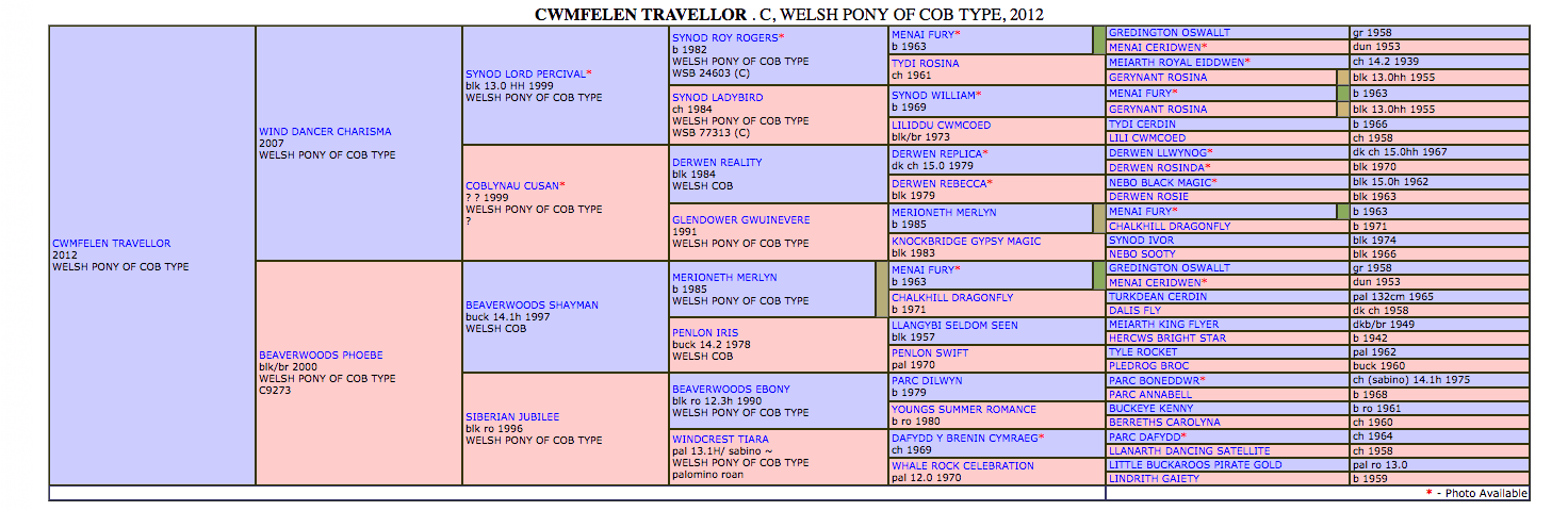 beaverwood cwmfelen scoreboard