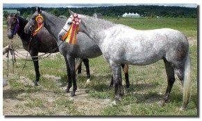 beaverwood farm breedding program