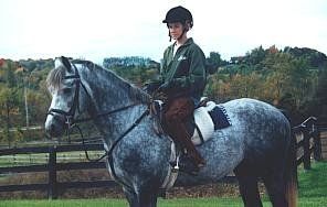 beaverwood training lessons