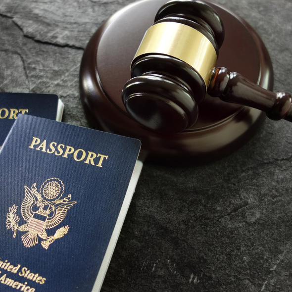 Immigration Passport Services