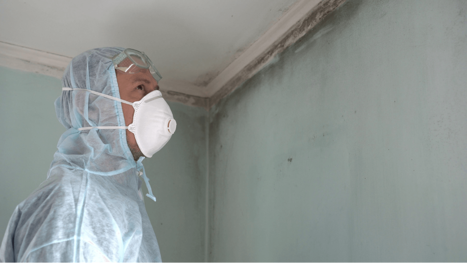 Professional performing a mold inspection in a property - Restoration 1 of Hunterdon County