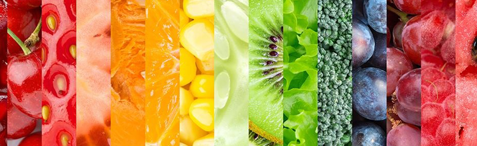 rappresentazione di servizi per l'alimentazione